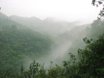 shrouded in mist