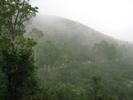 hiking in the mist