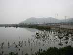 Library - 2497