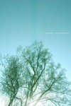 nature 01s