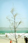 nature 02s