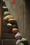 pumpkins or gourds