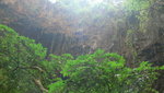 nature and light