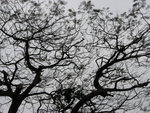 IMG_0476s