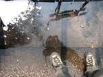 IMG_0541as