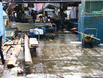 IMG_0544s
