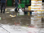 IMG_0608s