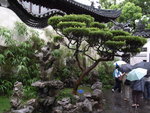 RIMG0056