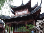 RIMG0071