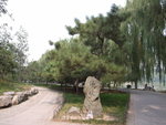 RIMG0495