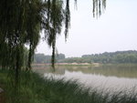 RIMG0496