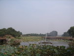 RIMG0501