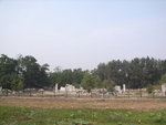 RIMG0507