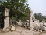 RIMG0513
