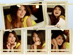 Theme