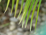 DSC00087
