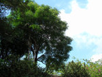 DSC00090