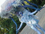 DSC08738