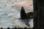 IMG_2743-1