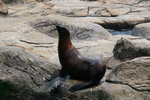 IMG_2752-1