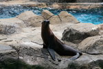 IMG_2754-1
