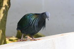 IMG_2775-1
