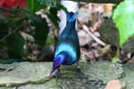 IMG_2776-1