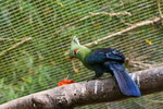 IMG_2778-1