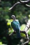 IMG_3178-1