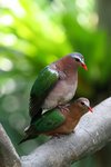 IMG_3181-1