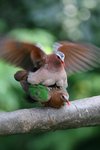 IMG_3188-1