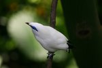 IMG_3195-1