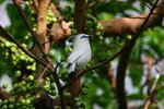 IMG_3202-1