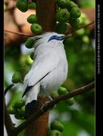 IMG_3202-2