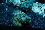 IMG_5402-1