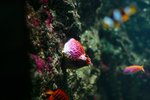 IMG_5416-1
