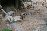IMG_5517-1