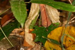 IMG_0332-1