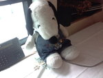 Picture0020