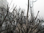 IMG_0792_resize