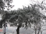 IMG_0794_resize