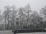 IMG_0796_resize