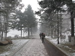 IMG_0800_resize