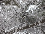 IMG_0802_resize