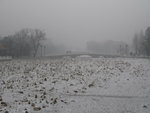 IMG_0803_resize