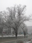 IMG_0804_resize