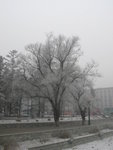 IMG_0805_resize