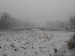IMG_0806_resize