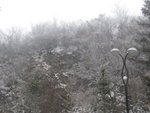 IMG_0807_resize