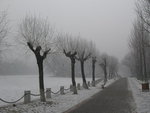 IMG_0808_resize